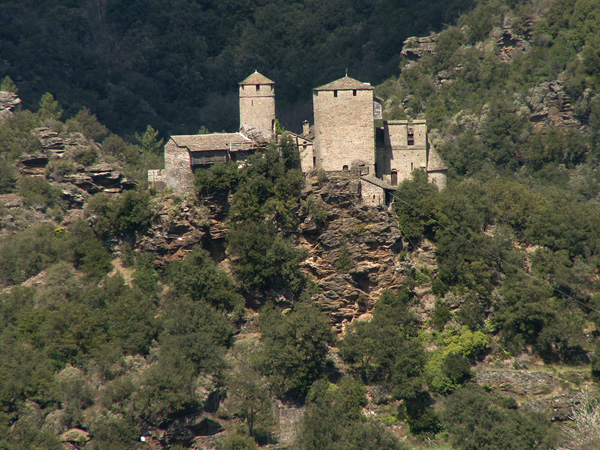 Calberte3